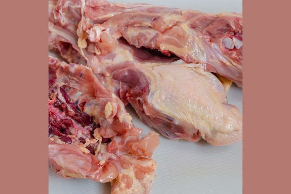 Free-Range Chicken Carcass