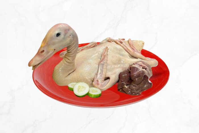 Duck with Offal